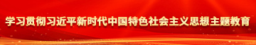 艹老女人的骚逼视频学习贯彻习近平新时代中国特色社会主义思想主题教育